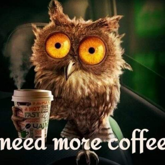 Meet your Posher, David - Picture 1 of 5